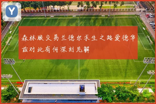 森林狼交易兰德尔求生之路爱德华兹对此有何深刻见解